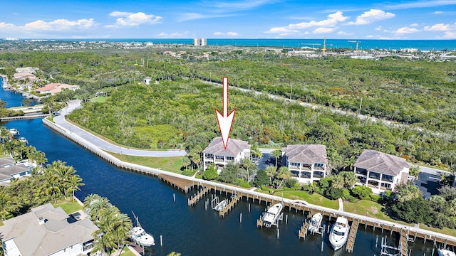 aerial view with a water view