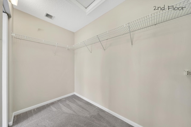 spacious closet with carpet floors