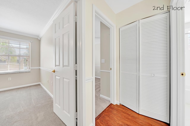 hallway featuring crown molding and carpet