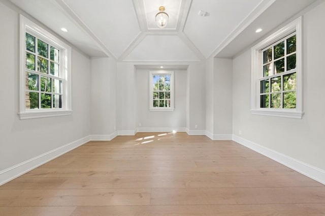 interior space featuring lofted ceiling, a wealth of natural light, and light hardwood / wood-style flooring