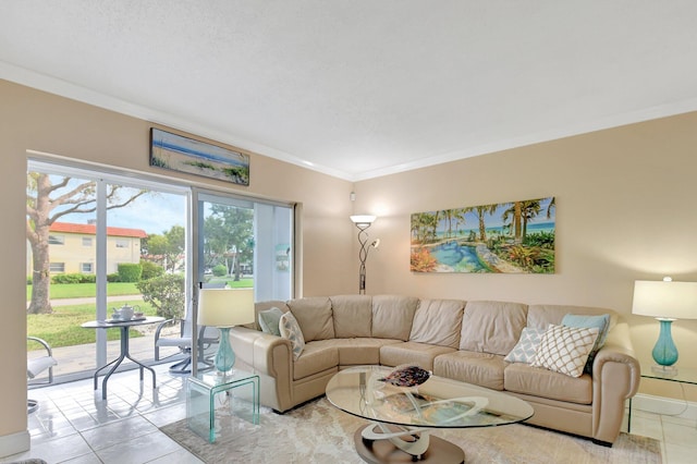 tiled living room with crown molding