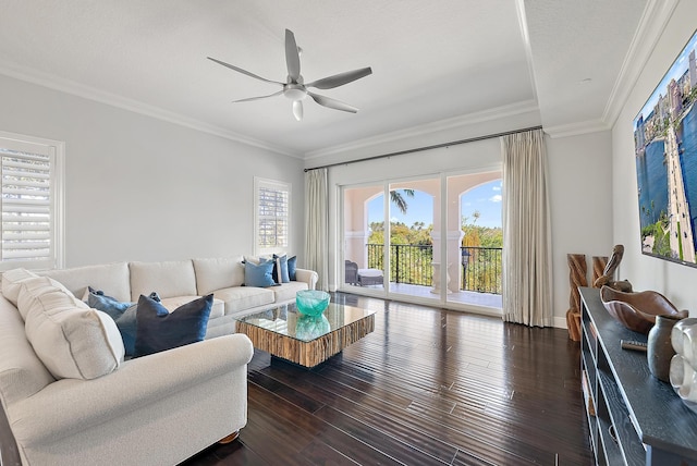 living room with ceiling fan, dark hardwood / wood-style floors, and ornamental molding