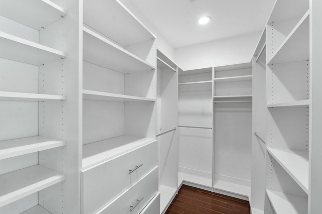 walk in closet with dark hardwood / wood-style floors