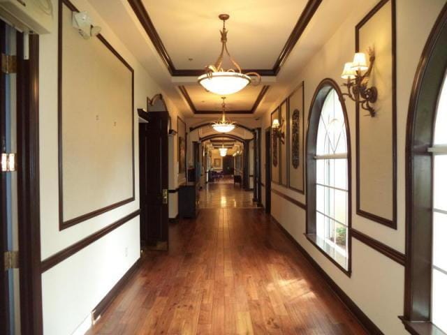 hallway featuring a tray ceiling, dark wood-type flooring, and ornamental molding