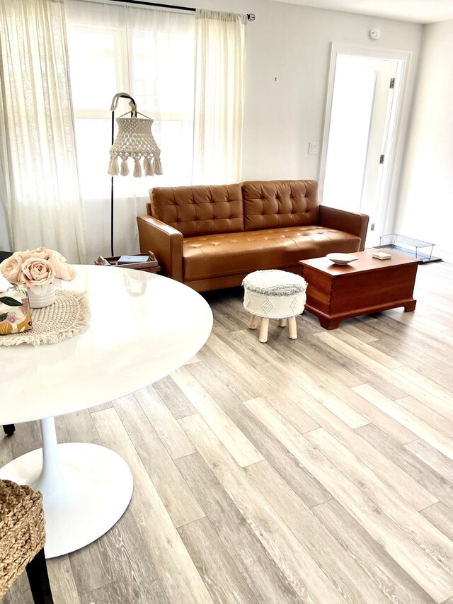 living room with light hardwood / wood-style flooring