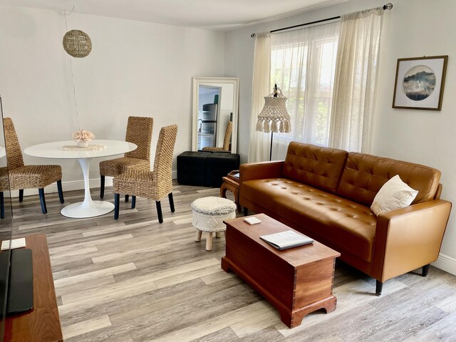 living room with light hardwood / wood-style flooring