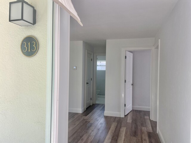 hallway featuring dark wood-type flooring