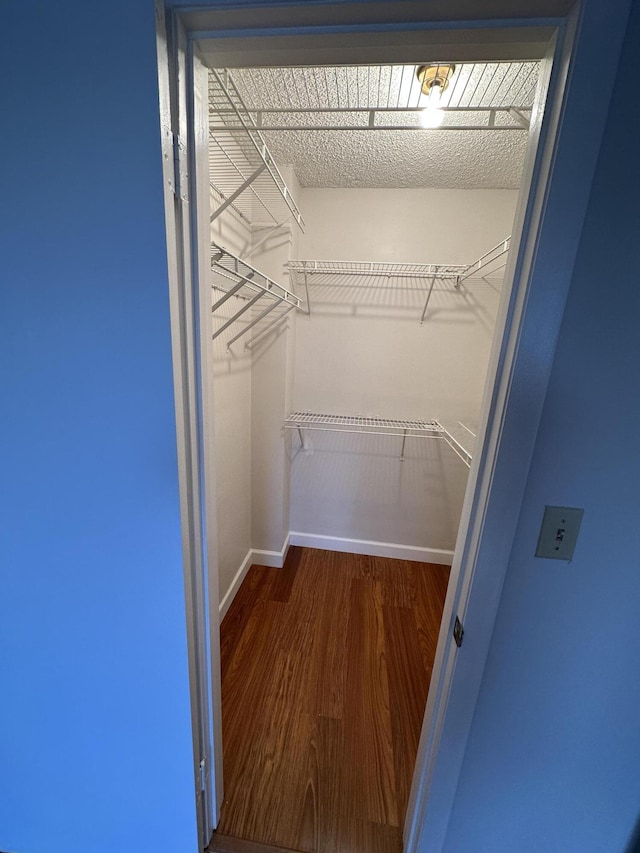 spacious closet featuring hardwood / wood-style floors