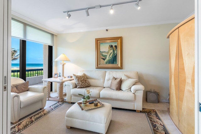 living room with track lighting, a water view, and crown molding