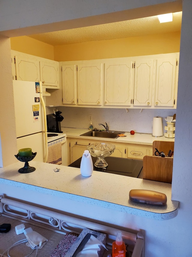 kitchen with white appliances and sink