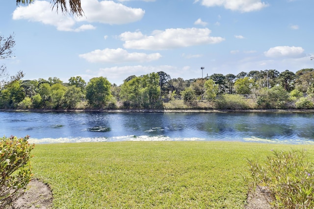 property view of water