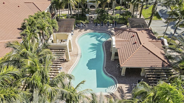 view of pool featuring a patio area