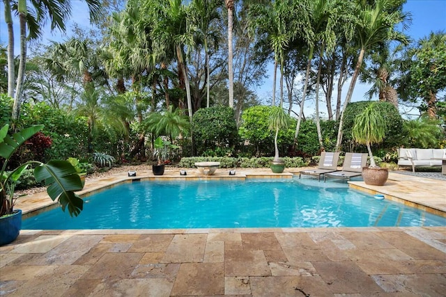 view of swimming pool with a patio area