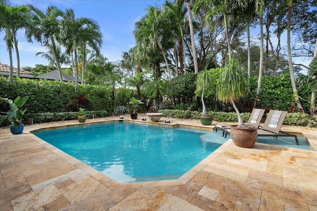 view of pool featuring a patio