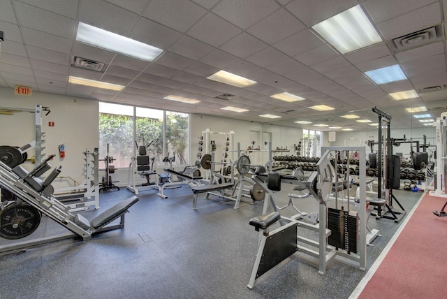 gym featuring a paneled ceiling and a wall of windows