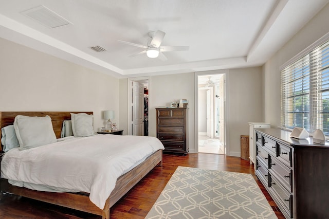 bedroom featuring ceiling fan, a spacious closet, a tray ceiling, dark hardwood / wood-style flooring, and a closet