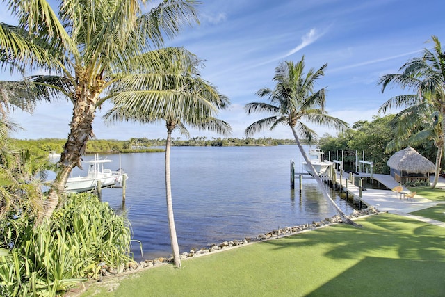 dock area with a water view