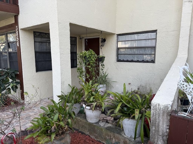 view of exterior entry with stucco siding