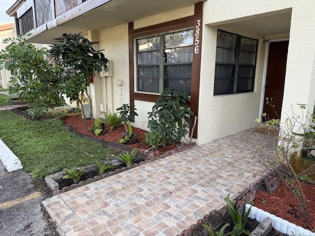 doorway to property featuring stucco siding