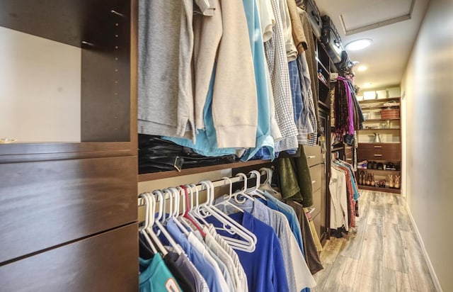 spacious closet featuring wood-type flooring