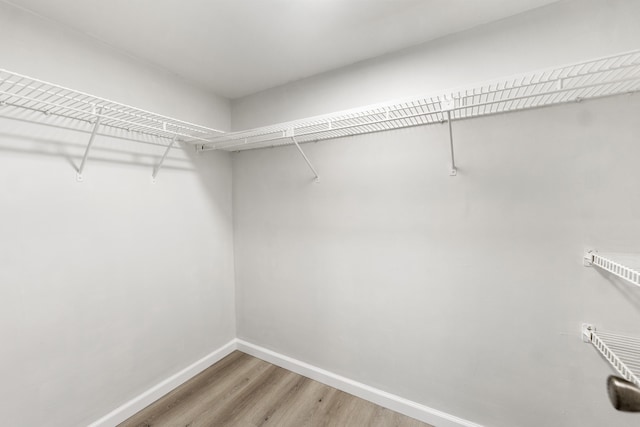 walk in closet with wood-type flooring