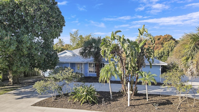 obstructed view of property featuring driveway and metal roof