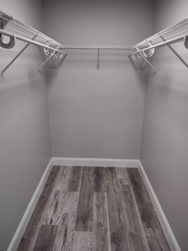 spacious closet with hardwood / wood-style flooring