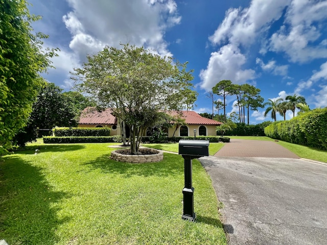 view of front of home with a front lawn