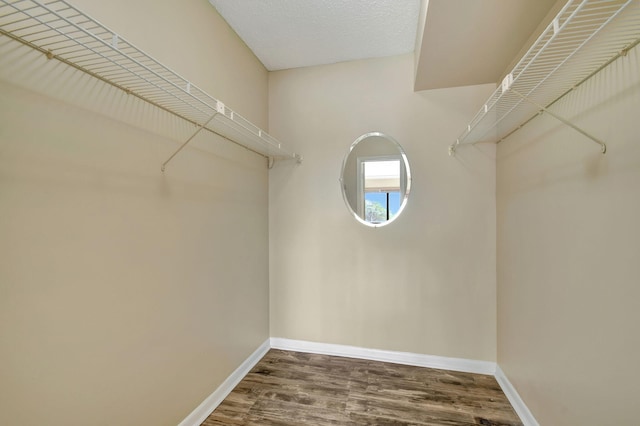 walk in closet featuring hardwood / wood-style floors