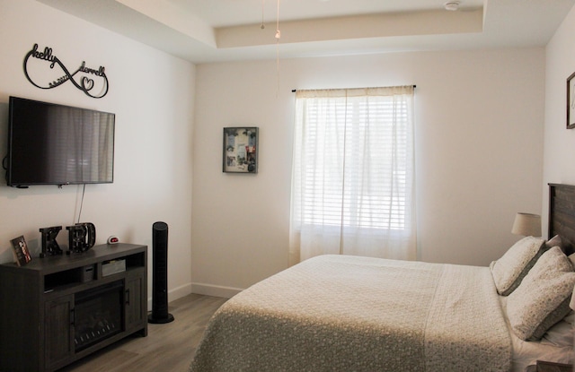 bedroom with hardwood / wood-style flooring and a tray ceiling