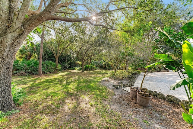 view of yard with a patio