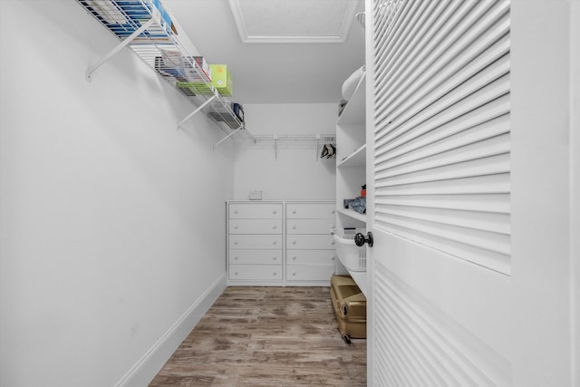 walk in closet with light hardwood / wood-style floors