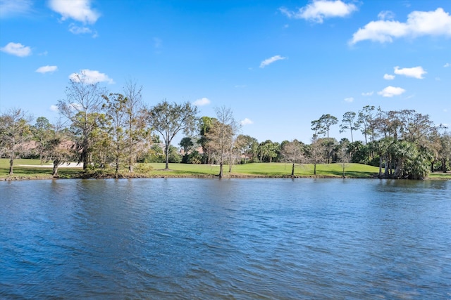 view of water feature