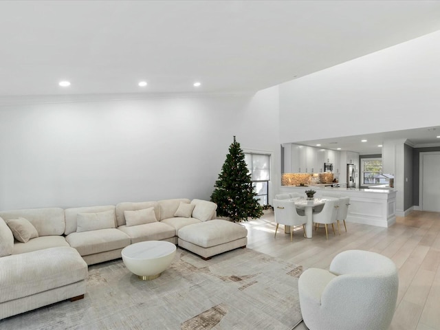 living room with light hardwood / wood-style flooring and crown molding