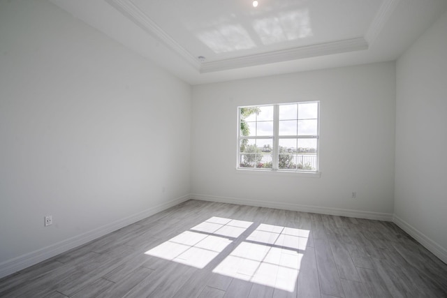 empty room featuring a raised ceiling and wood-type flooring