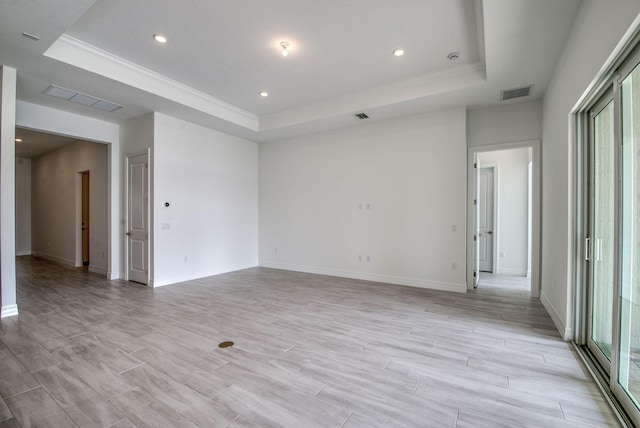 spare room featuring a tray ceiling and a wealth of natural light