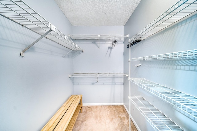 spacious closet featuring carpet flooring