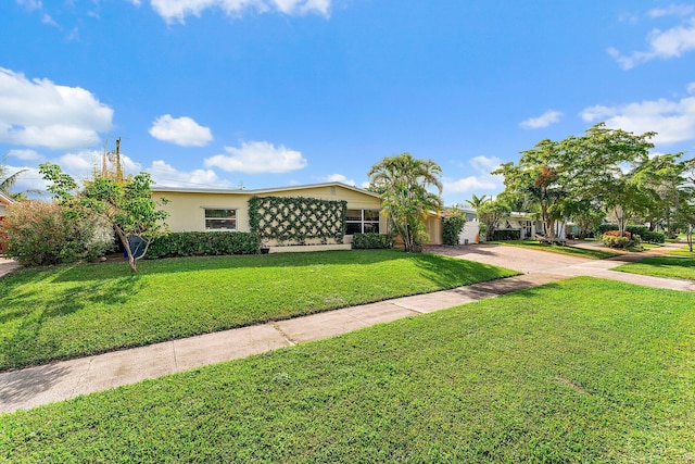 ranch-style home with a front yard