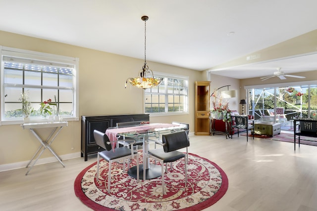 dining room with lofted ceiling, a wealth of natural light, ceiling fan, and light hardwood / wood-style flooring