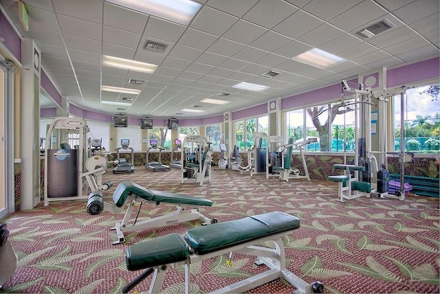 exercise room featuring a wealth of natural light, a drop ceiling, and carpet flooring