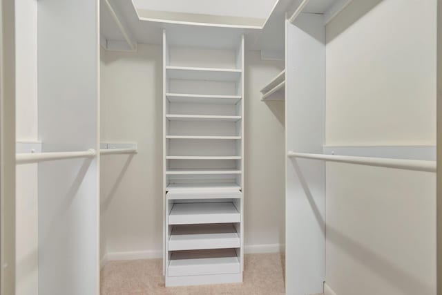 spacious closet with light carpet