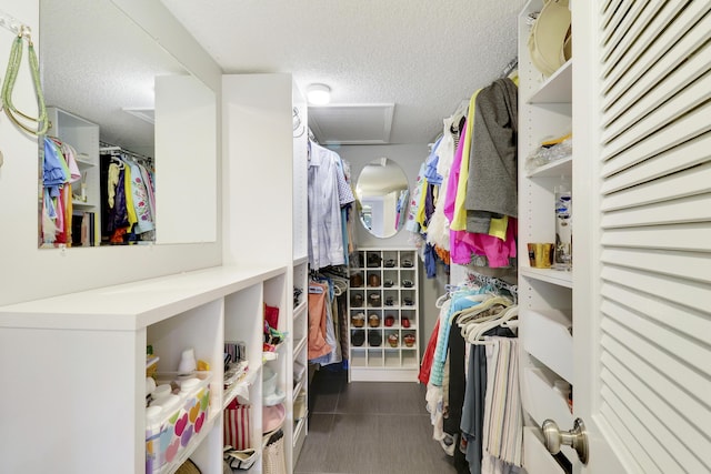 view of walk in closet