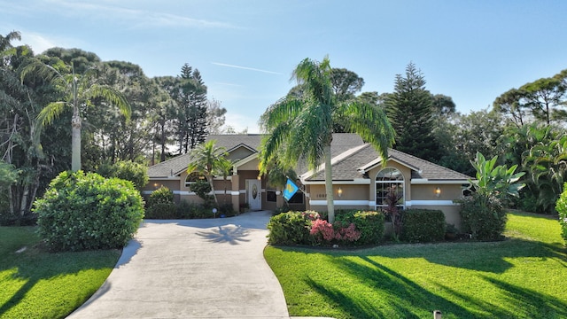 view of front facade featuring driveway, a front lawn, and stucco siding