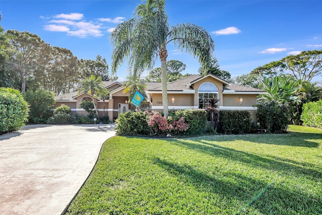 ranch-style home featuring driveway, a front lawn, and stucco siding