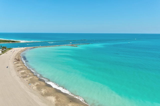 water view featuring a beach view