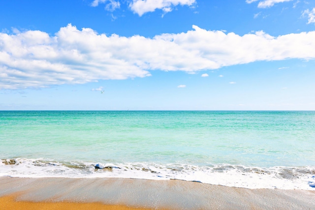 property view of water with a beach view