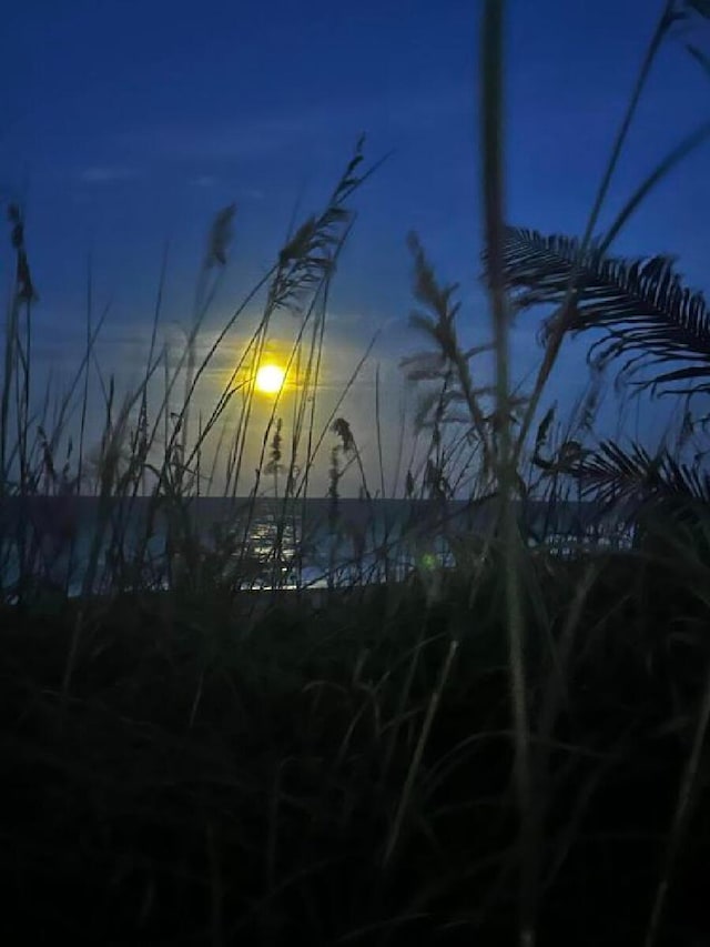 view of nature at dusk