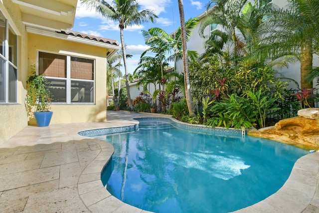 view of pool featuring a patio