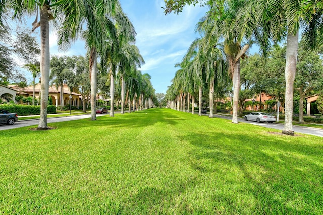 view of property's community featuring a lawn