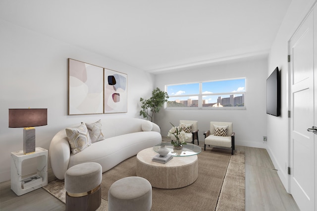 living room with light wood-type flooring